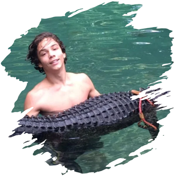 Adult Gators