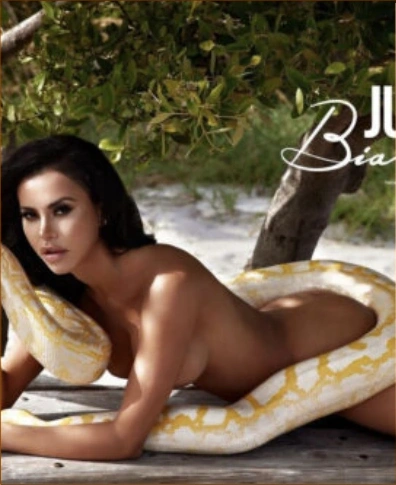Animals For Music Videos Miami