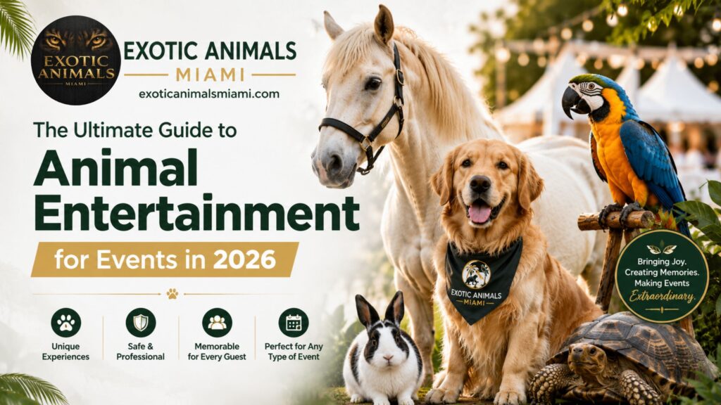 Animal Entertainment for Events in 2026
