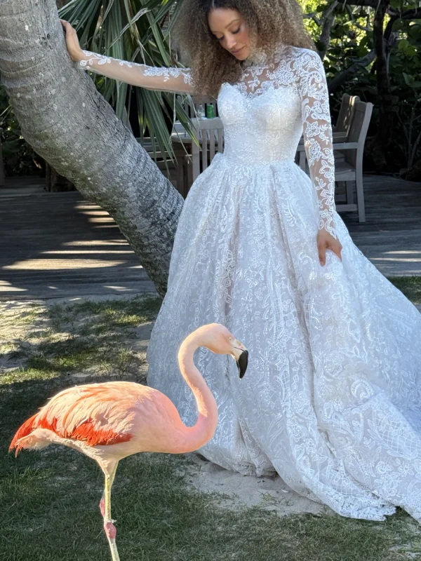 flamingo-display-img-1