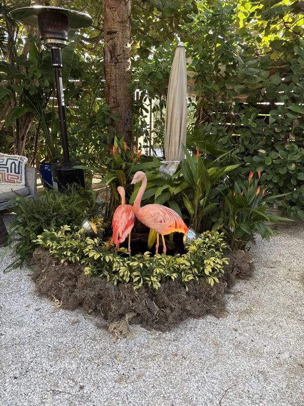 flamingo-display-img-4