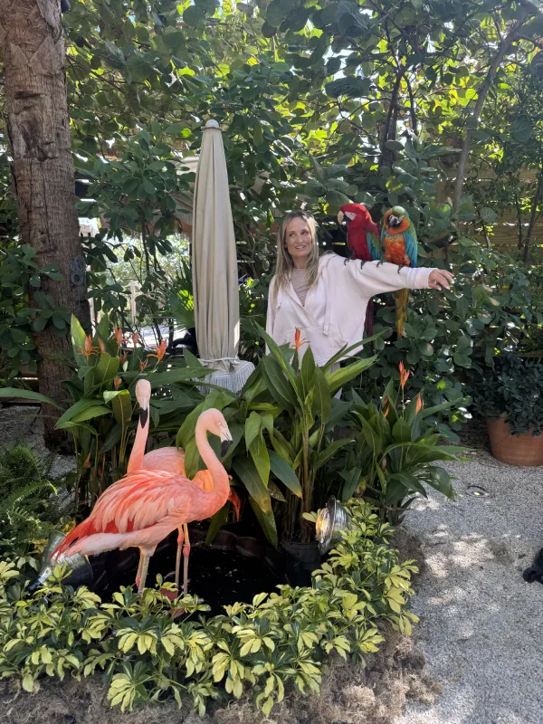 flamingo-display-img-5