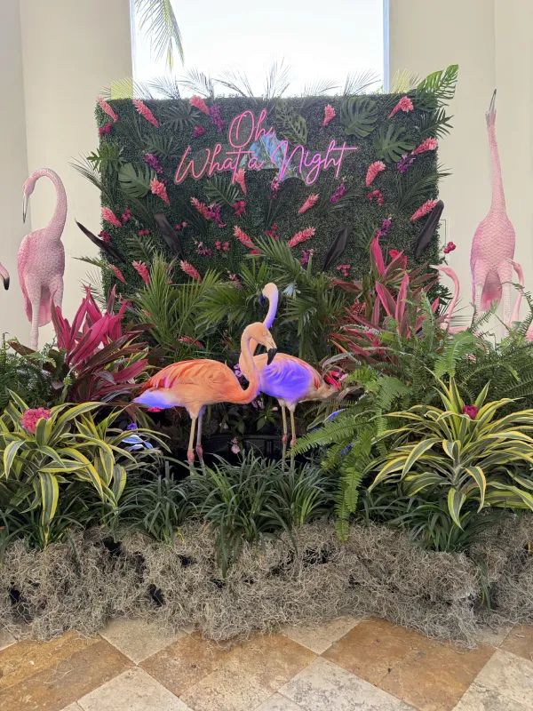 flamingo-display-img-7