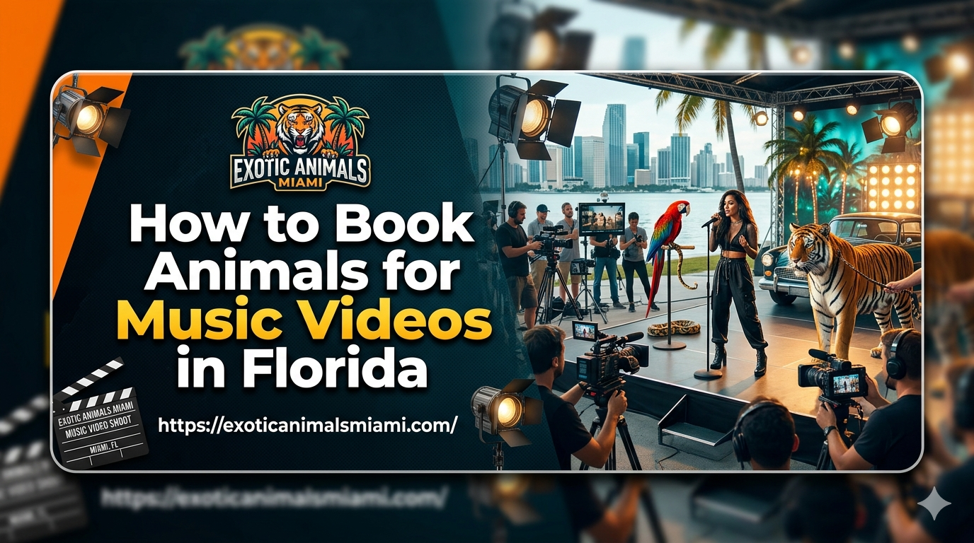 Animals for Music Videos in Florida