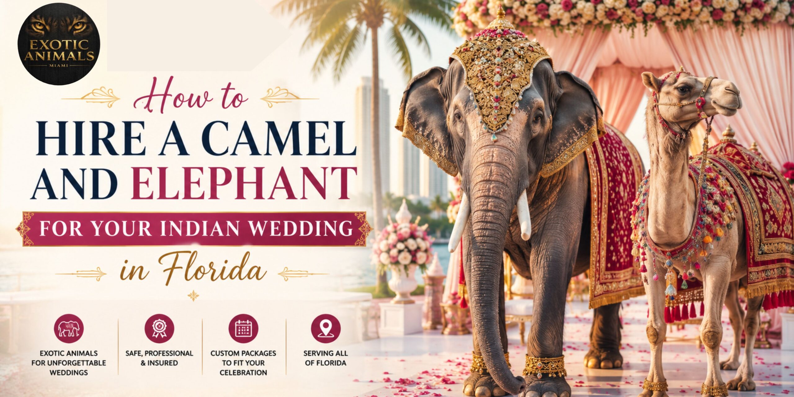 Hire a Camel and Elephant