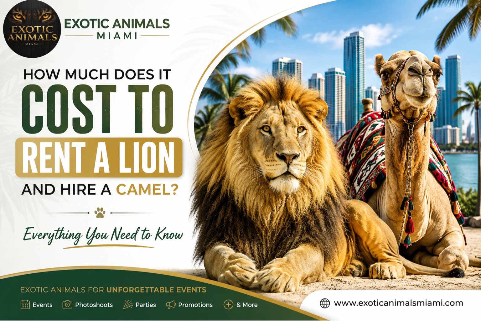 Rent a Lion and Hire a Camel